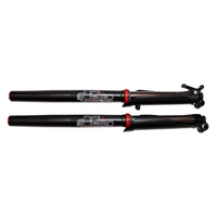 Dal Soggio FSR-48 Front Fork Set XACT 21-23 Enduro 3.0